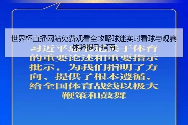 世界杯直播网站免费观看全攻略球迷实时看球与观赛体验提升指南