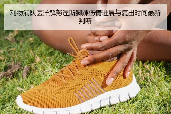 利物浦队医详解努涅斯脚踝伤情进展与复出时间最新判断